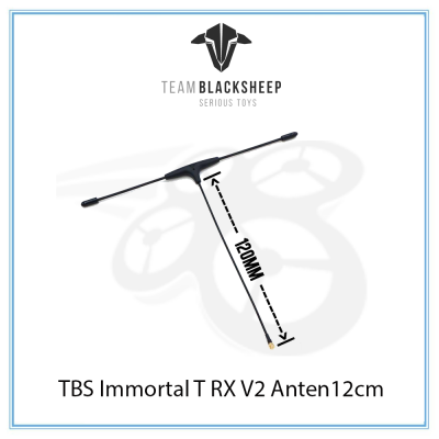 TBS Immortal T RX V2 Antenna 12cm