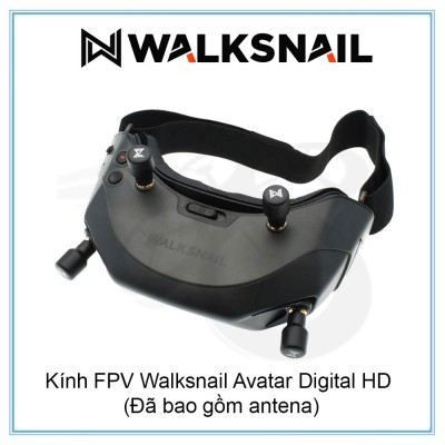 Kính FPV Walksnail Avatar Digital HD (Đã bao gồm antena)