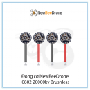 Động cơ NewBeeDrone 0802 20000kv Brushless | Bộ 4 cái