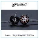 Động cơ IFlight Xing 0802 22000kv | Có bạc đạn