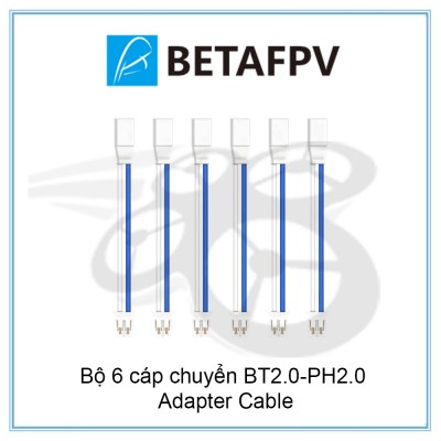 Bộ 6 cáp chuyển BT2.0-PH2.0 Adapter Cable